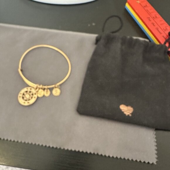 Alex And Ani Bracelet Gold Tone Compass Direction 2014 USA Bangle Energy W/ Bag - Picture 5 of 6